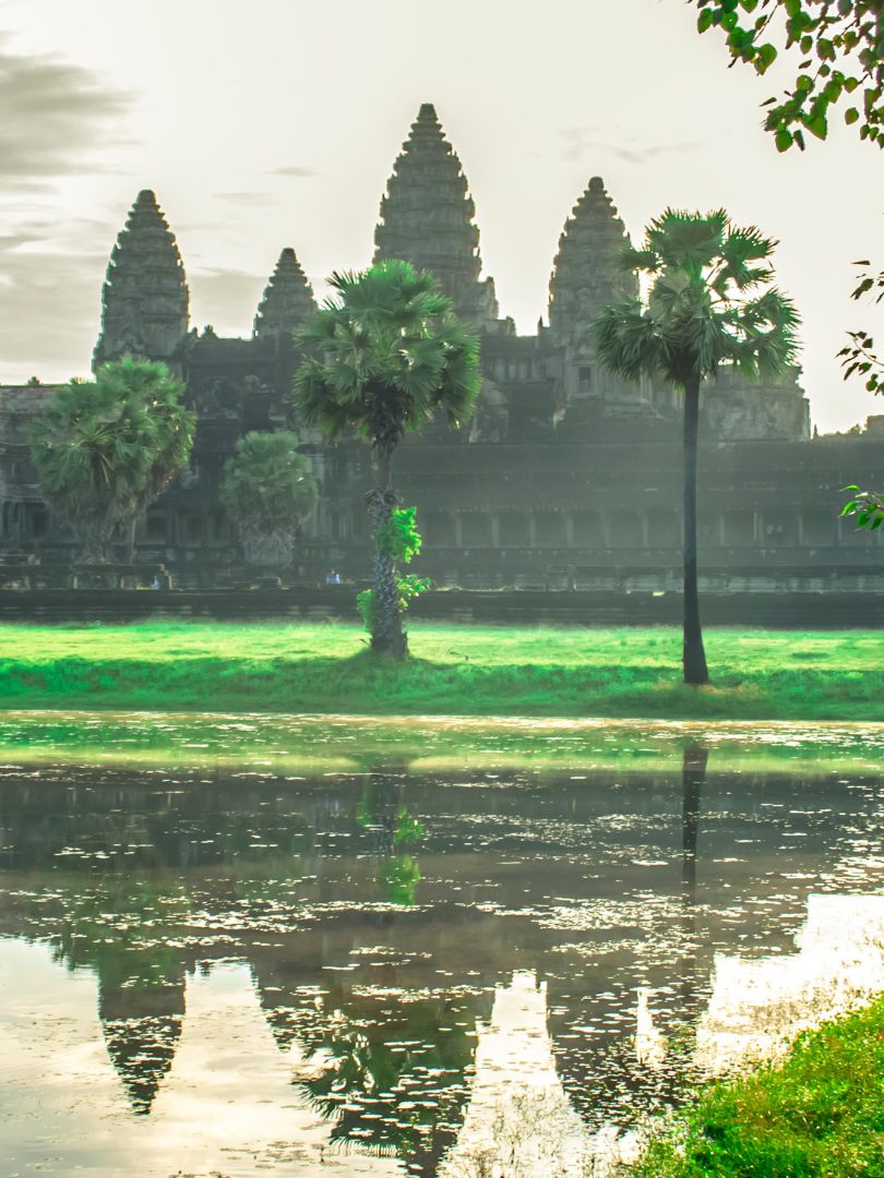 Angkor Wat and palm trees reflected in the moat at sunrise, Siem Reap, Cambodia