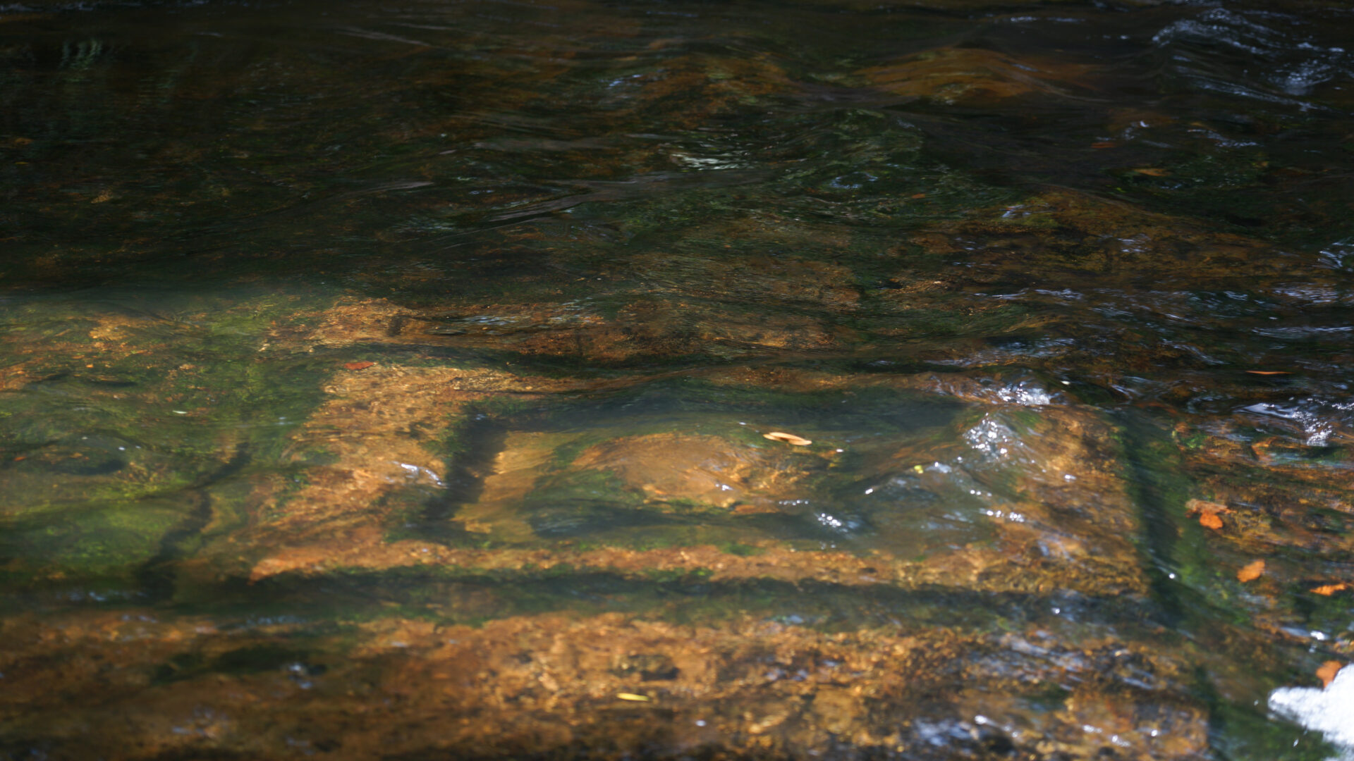 Kulen Waterfall, 1000 Linga River & Reclining Buddha