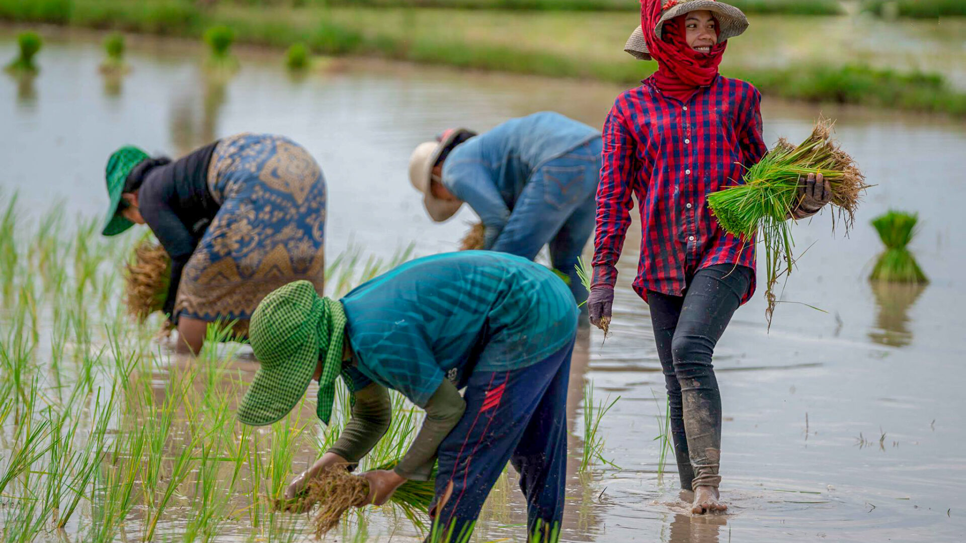 Day Trip Siem Reap to Battambang