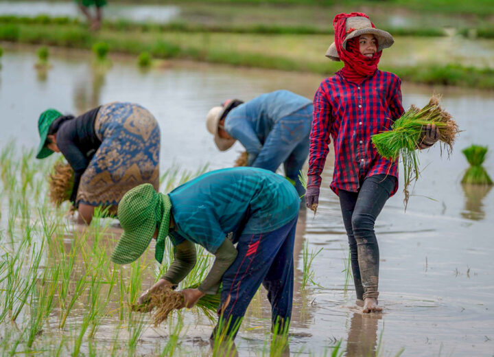 Day Trip Siem Reap to Battambang