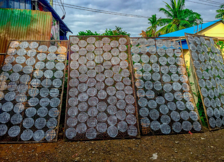 Day Trip Siem Reap to Battambang
