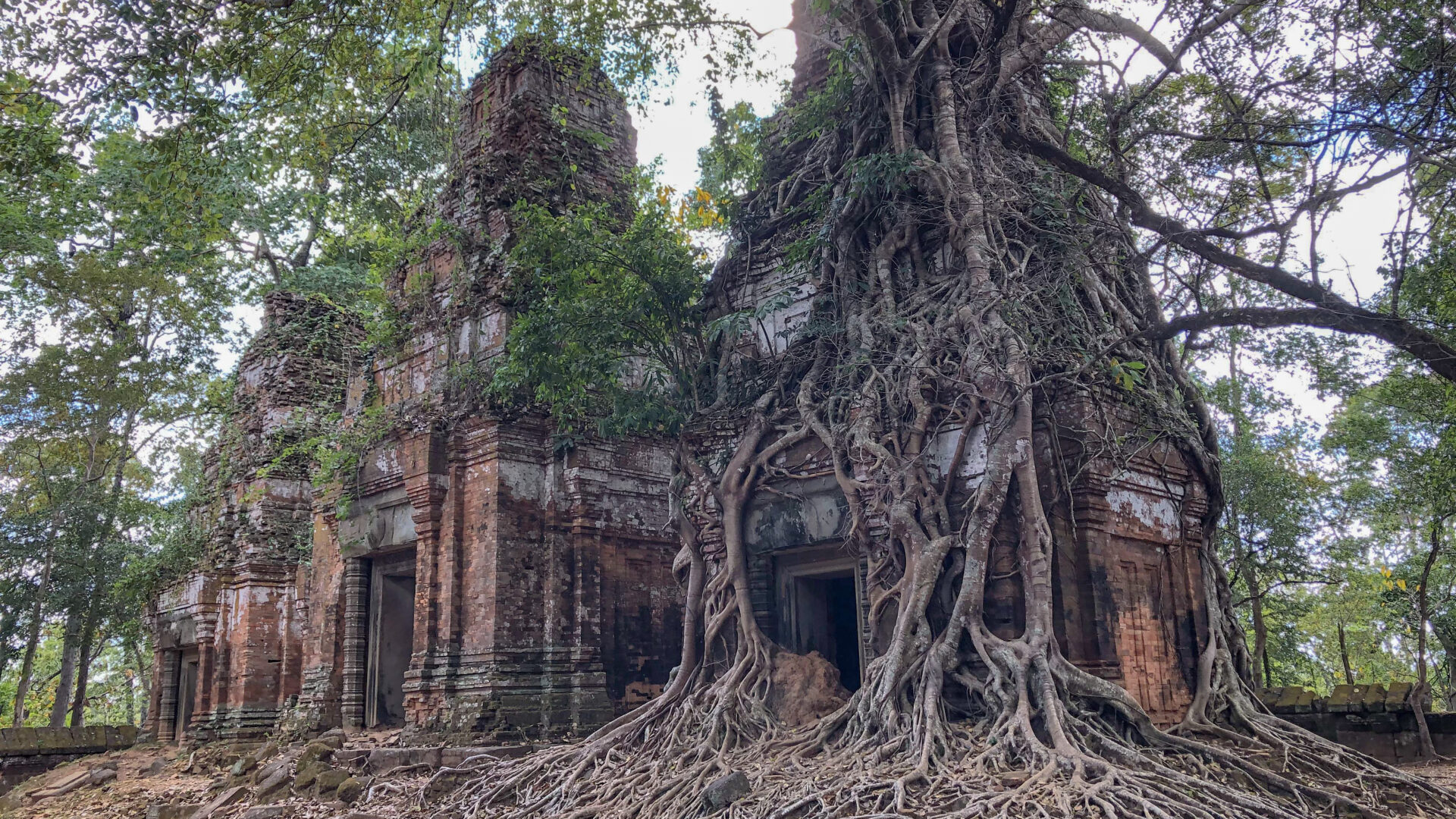 Koh Ker & Beng Mealea (The temple lost in Jungle)