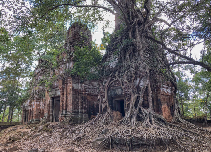 Koh Ker & Beng Mealea (The temple lost in Jungle)